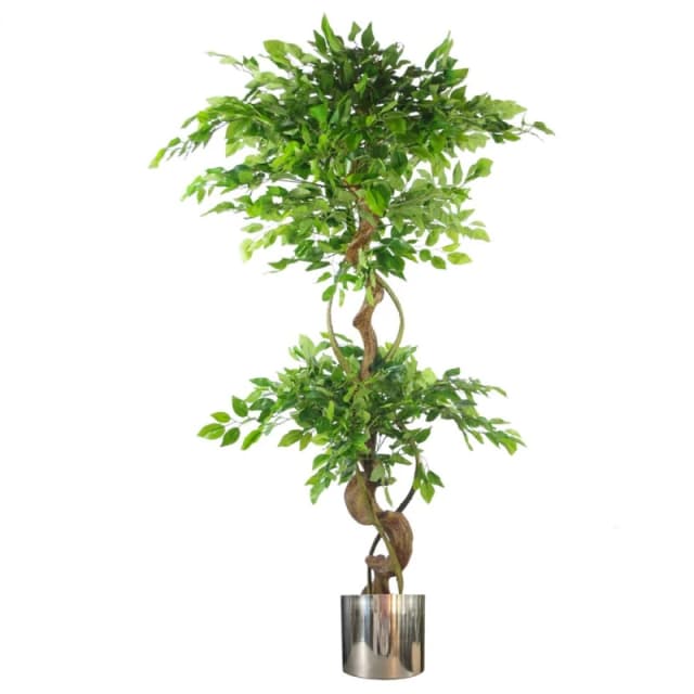 Leaf Japanese Fruticosa Ficus Tree Silver Planter 150cm Twisted Trunk Artificial Botanik Green
