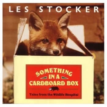 Something in a Cardboard Box Hardback