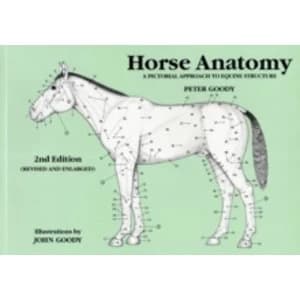 Horse Anatomy : A Pictorial Approach to Equine Structure
