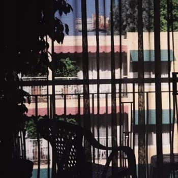 Section 25 - Dark Light CD