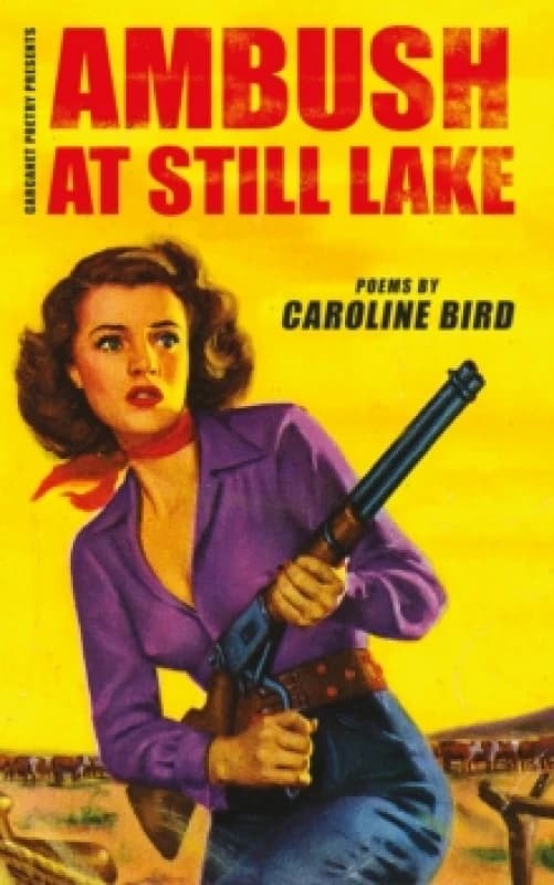 Ambush at Still Lake Paperback / softback