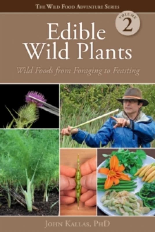 Edible Wild Plants, Vol. 2 : Wild Foods from Foraging to Feasting Paperback / softback