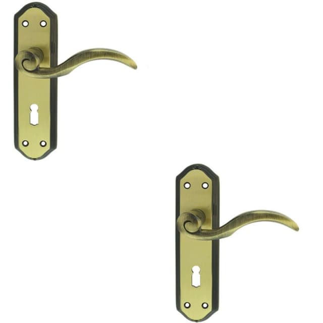 Loops 2x PAIR Spiral Sculpted Handle on Lock Backplate 180 x 48mm Florentine Bronze Multi