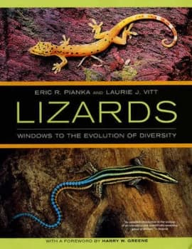 Lizards by Eric R. Pianka Paperback