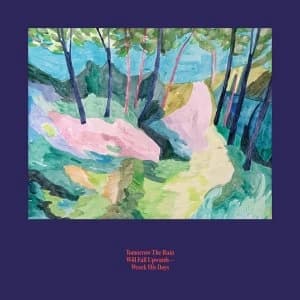 Tomorrow The Rain Will Fall Upwards ‎- Wreck His Days Vinyl