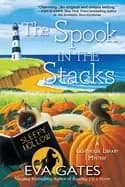 spook in the stacks a lighthouse library mystery