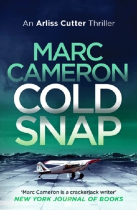 Cold Snap Paperback / softback