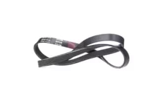 RIDEX V-ribbed belt HYUNDAI,VOLVO,MITSUBISHI 305P0174 2521236070,7547752,MD142117 MD187462,MD304887,30873480,MD304887