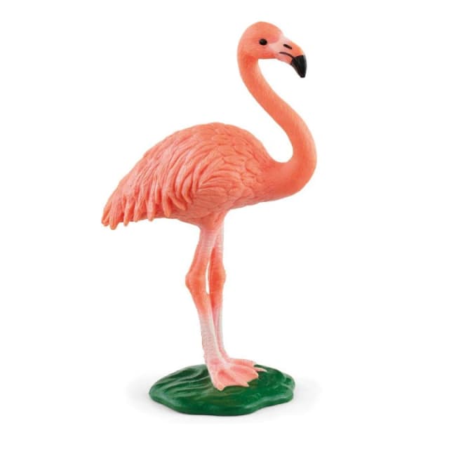 Figurine: Schleich Wild Life Flamingo Toy Figure, 3 to 8 Years, Pink (14849) Multi