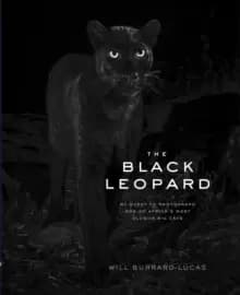The Black Leopard : My Quest to Photograph One of Africa's Most Elusive Big Cats