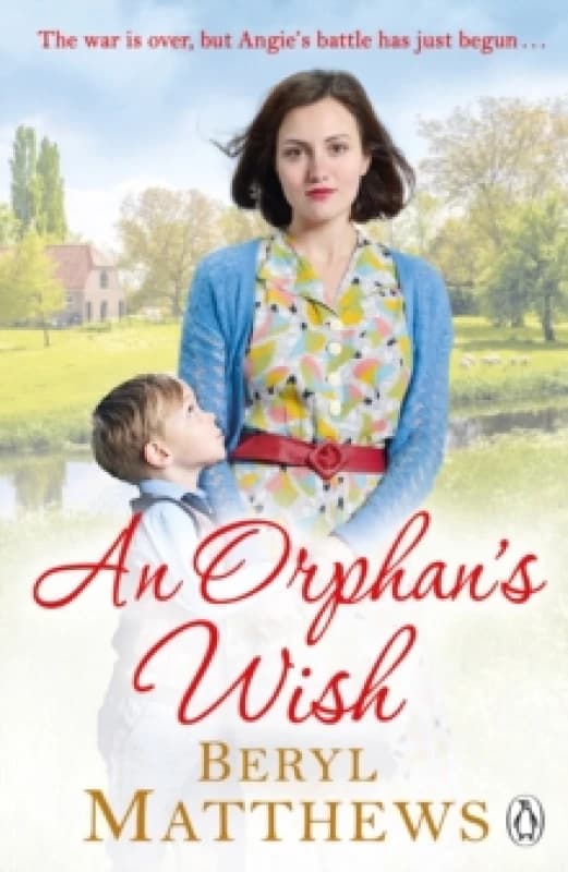 An Orphan's Wish Paperback / softback