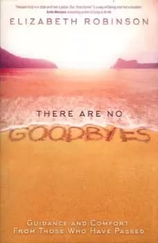 There are no goodbyes by Elizabeth Robinson