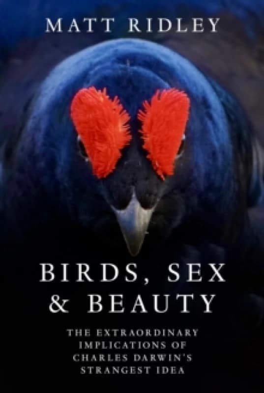 Birds, Sex and Beauty : The Extraordinary Implications of Charles Darwins Strangest Idea Hardback