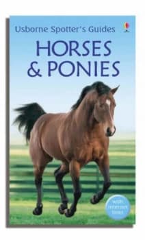 Horses and Ponies Paperback