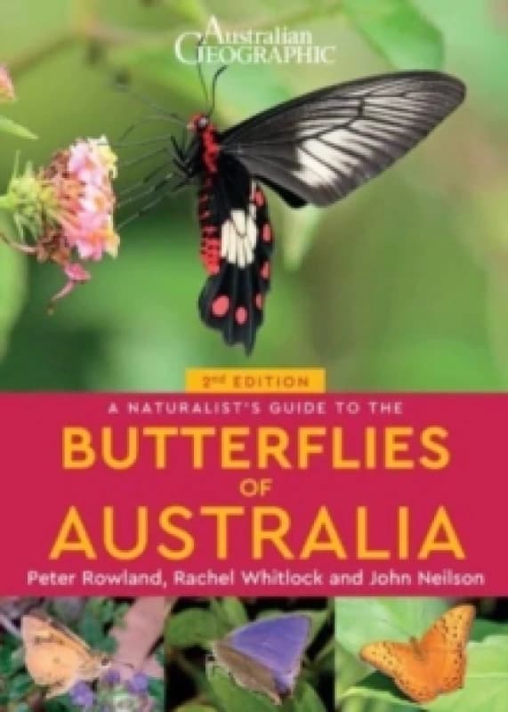 A Naturalist's Guide to the Butterflies of Australia (2nd) Paperback / softback