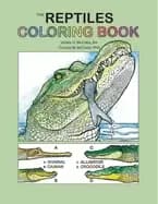 reptiles coloring book