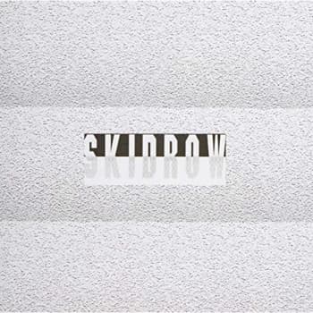 James Ferraro - Skid Row CD