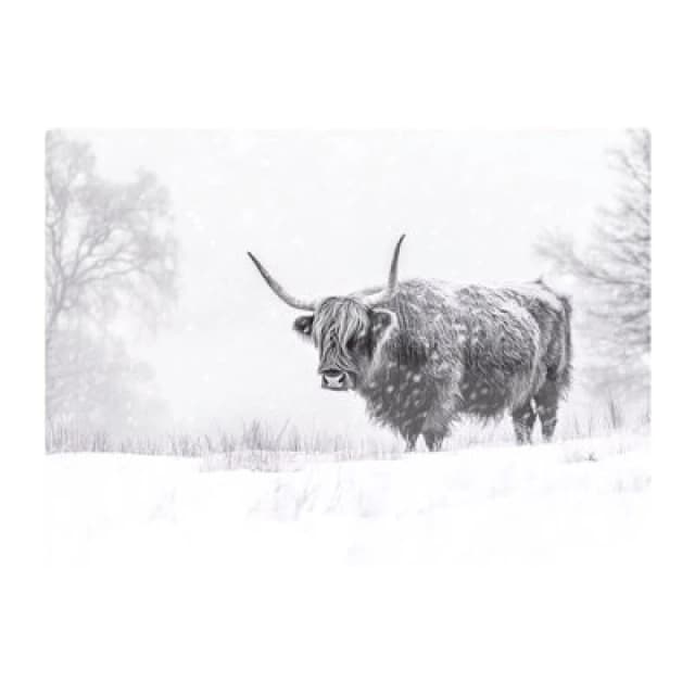 Warren Reed Designer Snowy Black And White Highland Cow Glass Chopping Board