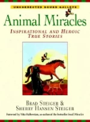 animal miracles inspirational and heroic true stories