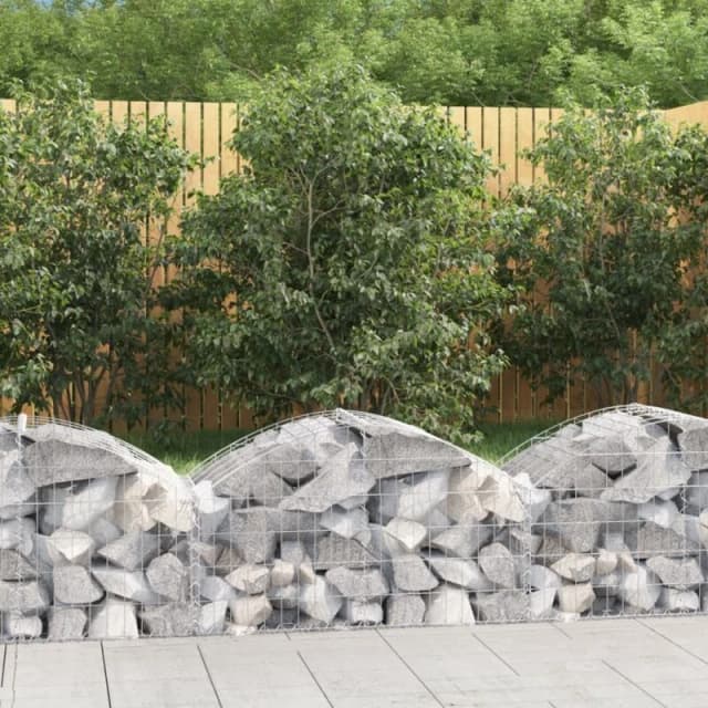 VIDAXL Vidaxl - Arched Gabion Basket 100x50x40/60cm Galvanised Iron 8720845650957