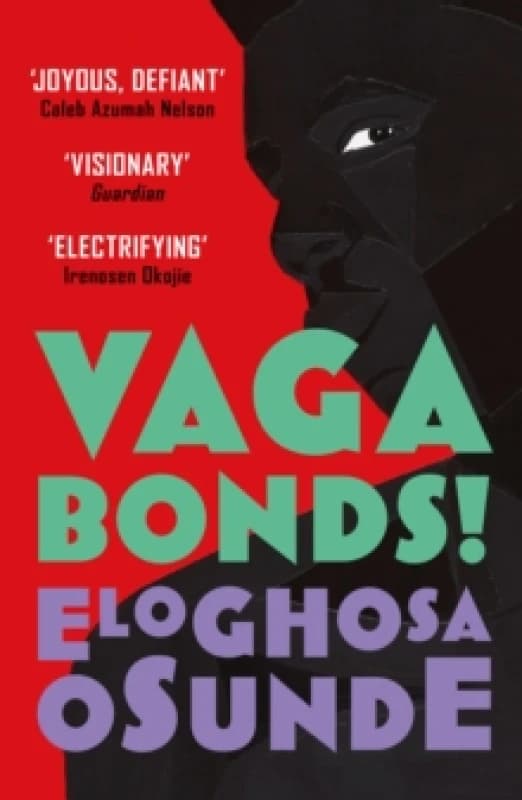 Vagabonds! Paperback / softback