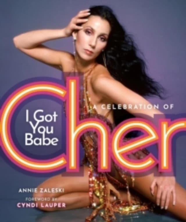 I Got You Babe. Hardback. By Annie Zaleski Books