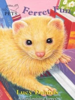 Ferret Fun by Lucy Daniels Paperback