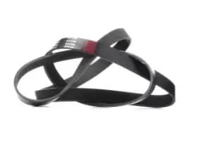 RIDEX V-ribbed belt MERCEDES-BENZ,RENAULT,PEUGEOT 305P0323 1333734,1364060,252124A650 252124A750,252124A650,252124A750,1172000Q1T,1172000Q5C