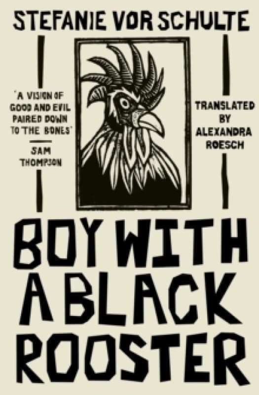 Boy with a Black Rooster Paperback / softback