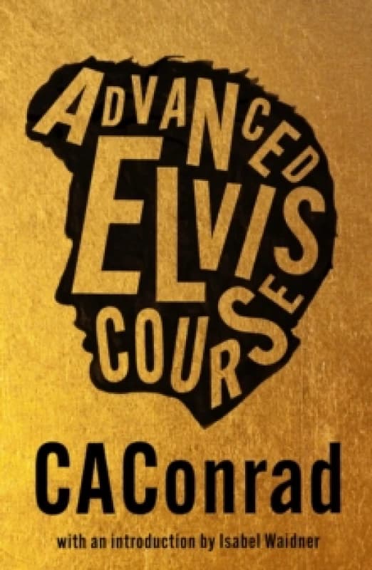 Advanced Elvis Course Paperback / softback