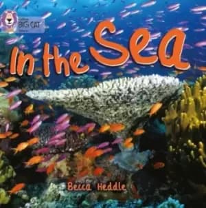 In the sea - Rebecca Heddle - Paperback - Used