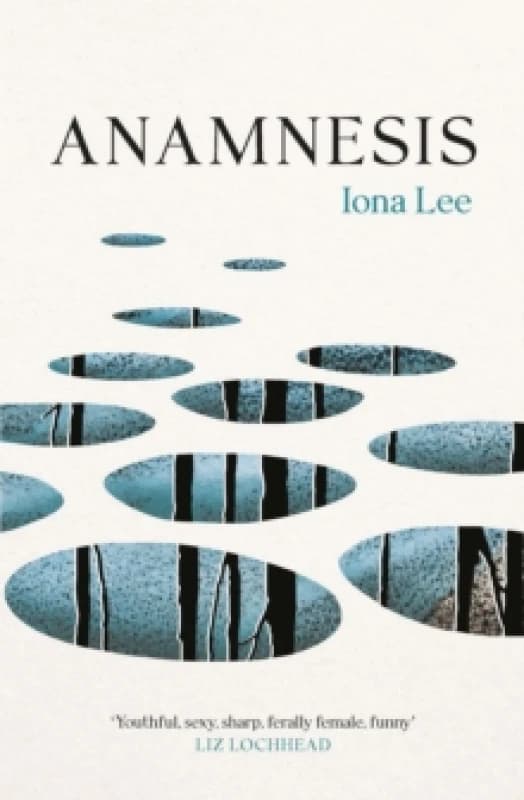 Anamnesis Paperback / softback