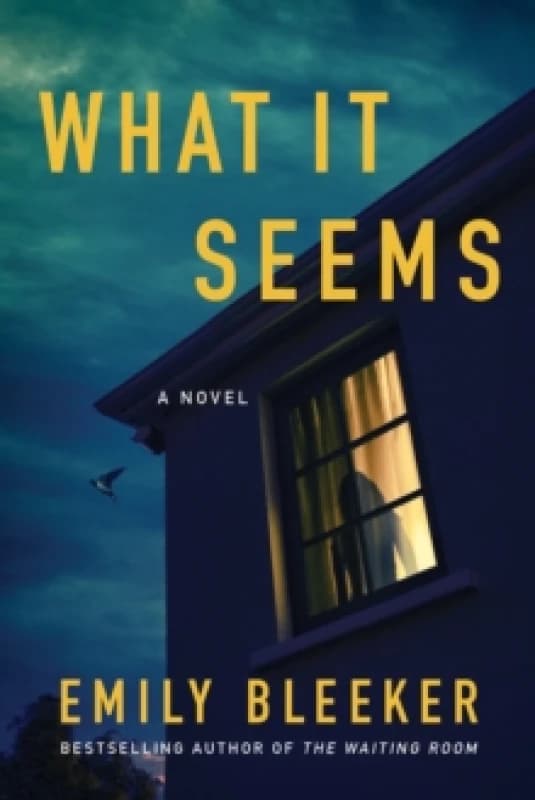 What It Seems Paperback / softback