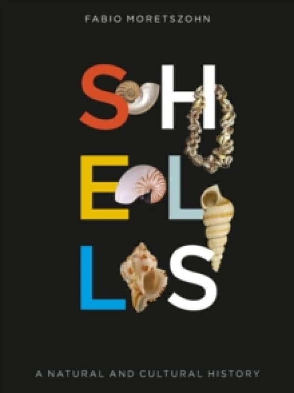 Shells : A Natural and Cultural History Hardback