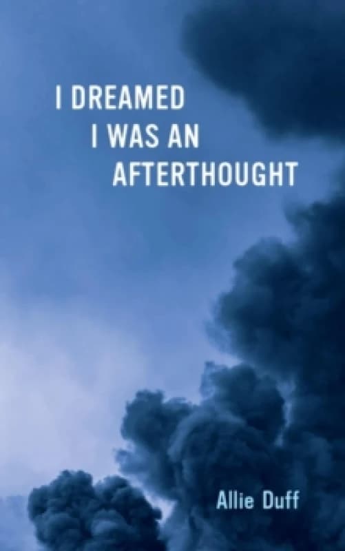 I Dreamed I Was an Afterthought Paperback / softback