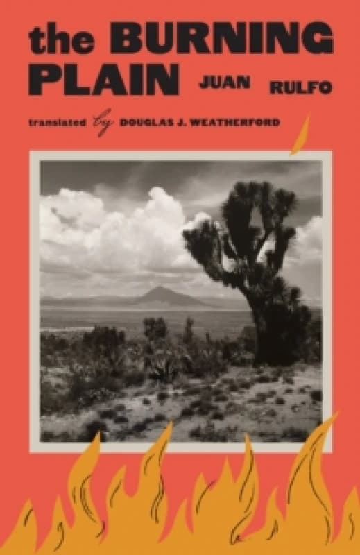 The Burning Plain Paperback / softback