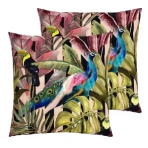 Toucan and Peacock Outdoor Twin Pack Cushion Multi