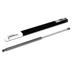 RIDEX Tailgate strut 219G0173 Gas spring, boot- / cargo area,Boot struts PEUGEOT,306 Break (7E, N3, N5),306 (7B, N3, N5)