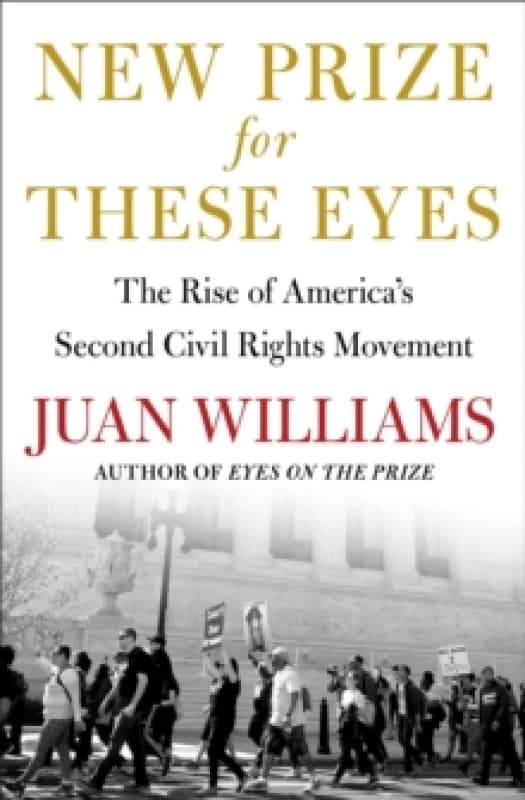 New Prize for These Eyes : The Rise of America's Second Civil Rights Movement Paperback / softback