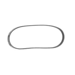 RIDEX V-ribbed belt 305P0553 Serpentine belt,Auxiliary belt FIAT,PEUGEOT,HYUNDAI,Uno Schragheck (146_),Scudo Kastenwagen (220_),Scudo Kombi (220_)