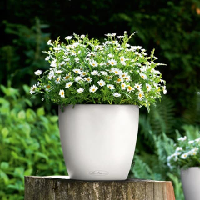 Lechuza Lechuza CLASSICO Color 28 13190 Planter container White 13190