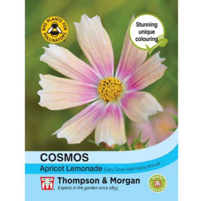 Thompson & Morgan Cosmos Bipinnatus Apricot Lemonade 1 Seed Packet (40 Seeds)
