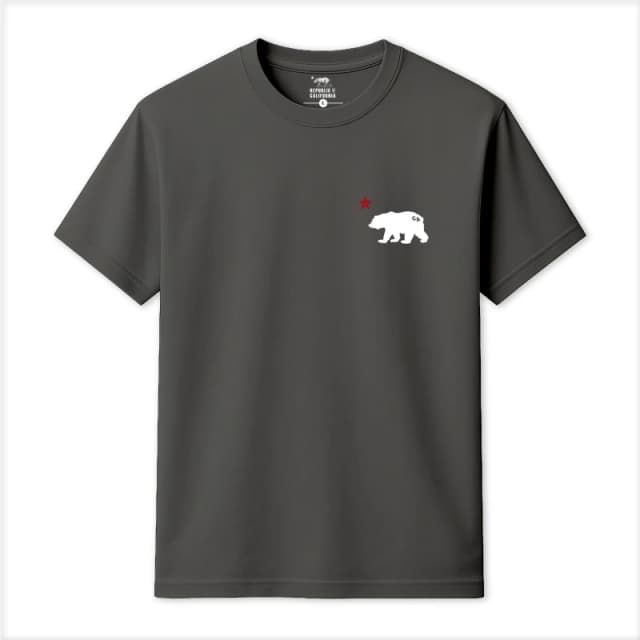 Republic of California Mens Cali Bear T-Shirt in Charcoal Size: Small Charcoal Male S