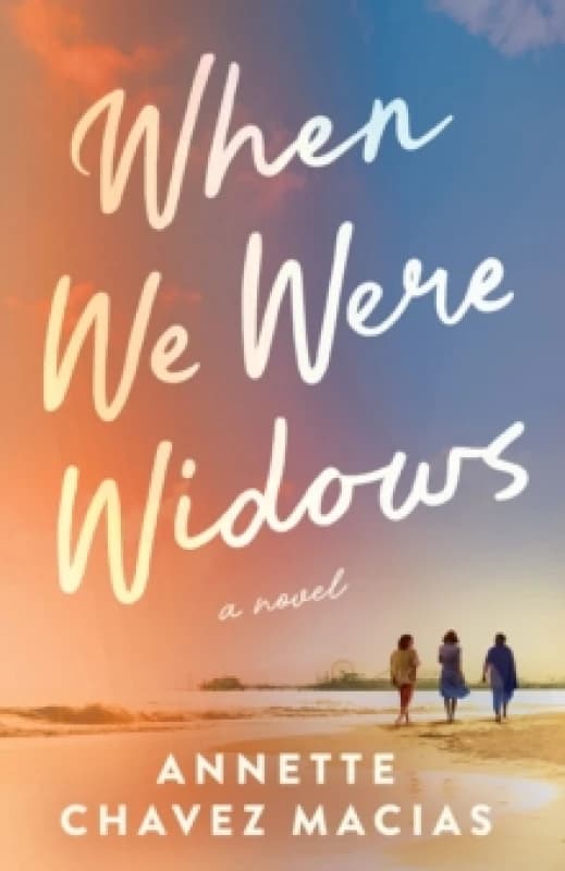 When We Were Widows : A Novel Paperback / softback