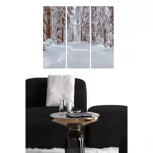 MDF3806328 Multicolor Decorative MDF Painting (3 Pieces)