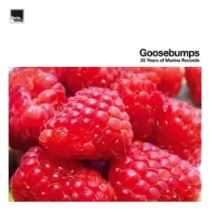 Goosebumps 25 Years of Marina Records by Various Artists CD Album