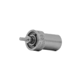 Bosch Injector 0 434 250 072 MERCEDES-BENZ,Stufenheck (W123),/8 (W115) Limousine