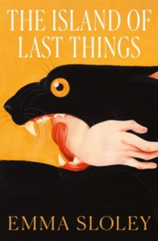 The Island of Last Things Paperback / softback