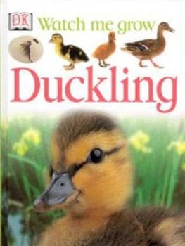 Duckling by Lisa Magloff Hardback