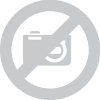 WISO Mein Geld 2021 Full version, 1 licence Windows Finance & Accounting